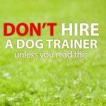 Find a Trainer for Your Hygenhund