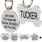 How to Pick an ID Tag for Your Kooikerhondje